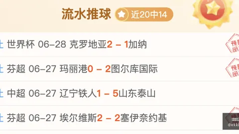 丁彦雨航回忆2019线上百家乐：假如我在场，周琦关键球应由我来打
